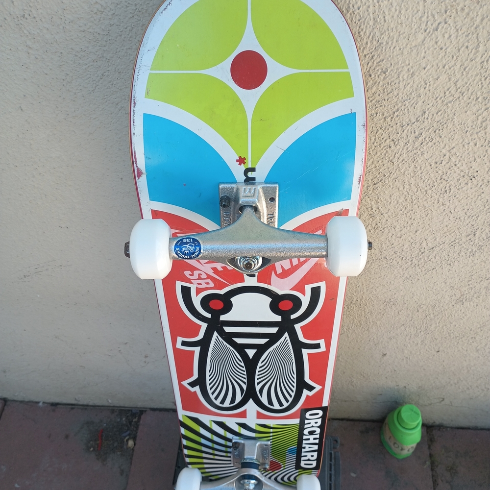 Zumiez Colorful Kids Skateboard